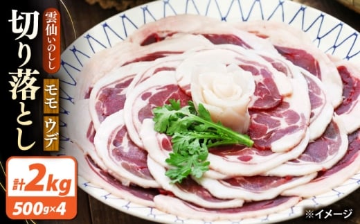  ؂藎Ƃ 2kg _傢̂  Ef /  CmVV WrG ̂ ē ڂ ؂藎Ƃ / 쓇s / Ѝcq [SDB016]茧쓇s18000WrG