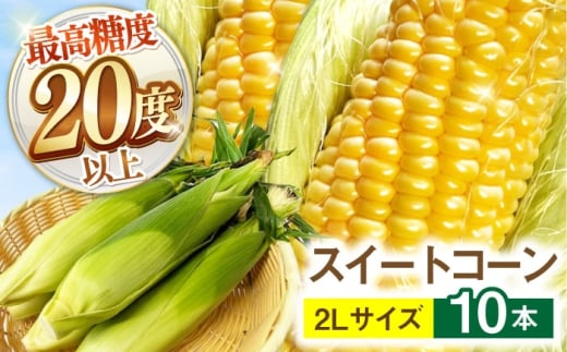 y2026N6`zyōx20xȏIzƂ낱 2LTCY 10{ / S[hbVlI gERV R[ XC[gR[ / 쓇s / OaT[rX [SGB008]茧쓇