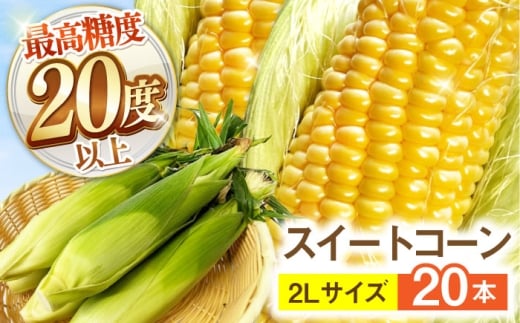 y2026N6`zyōx20xȏIzƂ낱 2LTCY 20{ / S[hbVlI gERV R[ XC[gR[ / 쓇s / OaT[rX [SGB009]茧쓇