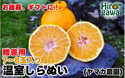 y12z  sm i ʂ j 3kgi7`8ʁjϔ / fR| nEX͔| Â a̎R k Ε 11{`12{ɏ yymk006-p-3za̎RL쒬16000ʕEt[