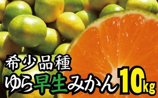 由良早生 みかん 家庭用 10kg / ゆら早生 温州みかん 極早生 甘い 家庭用 和歌山 柑橘 ※10月上旬〜10月下旬順次発送 ※北海道・沖縄・離島への配送不可 【nuk003-yura-10C】和歌山県広川町18000果