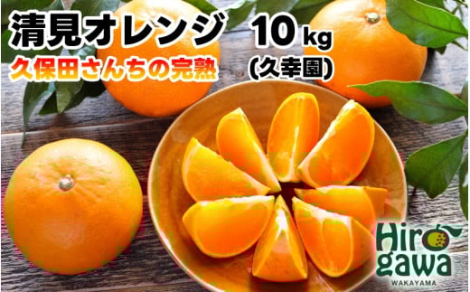 n  IW 10kg vK / IW ^S[   Â  a̎R k 4{`5{ɏ yhsk011-r-10Bza̎RL쒬20000ʕEt[c݂E