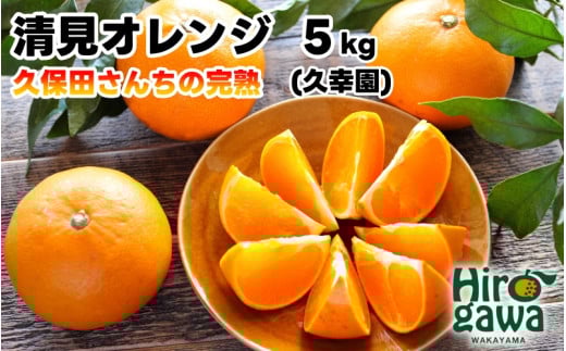 完熟 清見 オレンジ 5kg 久幸園 / 清見オレンジ 清見タンゴール きよみ 清美 甘い 高級 和歌山 柑橘 ※4月上旬〜5月下旬に順次発送【hsk011-r-5C】和歌山県広川町13000果物・フルーツみかん・柑橘