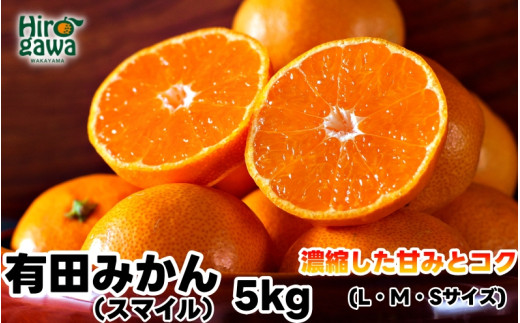 有田 みかん 5kg 秀品 / 温州みかん 有田みかん 甘い 和歌山 柑橘 ※11月下旬〜1月中旬に順次発送 【sml004-r-5B】和歌山県広川町14000果物・フルーツみかん・柑橘類