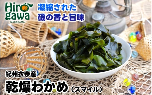 ▼紀州衣奈産 乾燥わかめ 150g×3パック(2026年産) /わかめ 海草 和歌山 国産 味噌汁 具材 【sml213-wak-3A】和歌山県広川町13000魚介・海産物のり・海藻