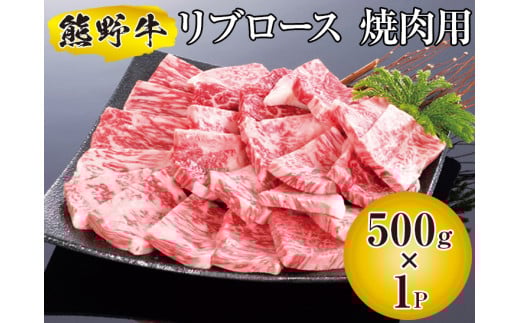 F싍 u[X ēp 500g@Y ē BBQ uh ymtf310-rib-500Bza̎RL쒬24000