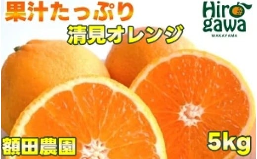 清見 オレンジ 5kg サイズ混合 光センサー / 清見オレンジ 清見タンゴール きよみ 清美 甘い 和歌山 柑橘※3月上旬〜下旬に順次発送予定 ※北海道・沖縄・離島への配送不可 【nuk011-r-5A】和歌