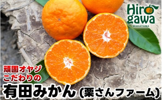 ŃIW Lc ݂ 3kg p / B݂ Lc݂ Â  a̎R k 11{`1{ɏykrf004-p-3Aza̎RL쒬12000ʕEt[c݂Ek