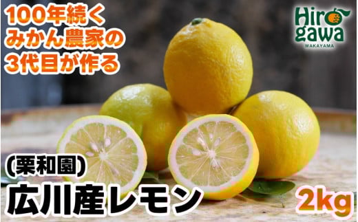 レモン 2kg 国産 / 和歌山 柑橘 ※2月上旬〜3月中旬に順次発送  【krw040-r-2】和歌山県広川町7000果物・フルーツみかん・柑橘類
