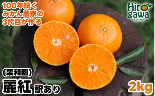 麗紅 ( れいこう ) 訳あり 2kg / オレンジ 甘い 家庭用 和歌山 有田 柑橘 ※2月中旬〜3月下旬に順次発送 【krw012-c-2】和歌山県広川町7000果物・フルーツみかん・柑橘類