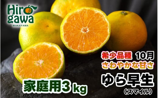 由良早生 みかん 訳あり 3kg / ゆら早生 温州みかん 極早生 甘い 家庭用 和歌山 柑橘 ※10月上旬〜11月上旬順次発送 ※北海道・沖縄・離島への配送不可  【sml003-yura-c3A】和歌山県広川町9000果物
