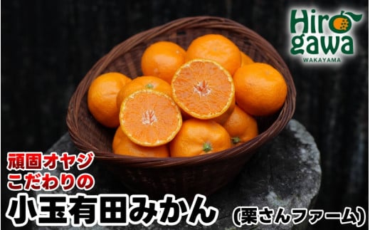 ŃIW Lc ݂  5kg / B݂ Lc݂ Â  Ⴂ ƒp 󂠂 a̎R k 11{菇 ykrf004-s-5Bza̎RL쒬14000ʕEt[c݂