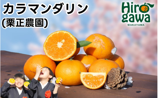 ^J J}_ ƒp 5kg TCY܂ M`2L / J JIW J݂ 󂠂 a̎R Lc k 4{`5ɏ ykrs015-c-5Aza̎RL쒬10000ʕEt