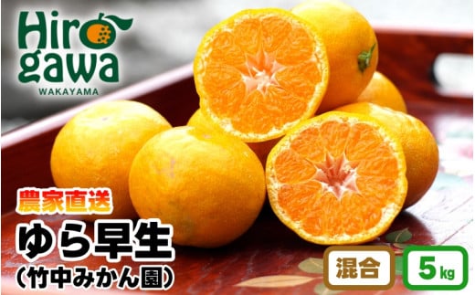 ▼由良早生みかん 5kg(2S〜Lサイズ) ※11月上旬〜順次発送予定 【tkn004-r-5】和歌山県広川町10000果物・フルーツみかん・柑橘類