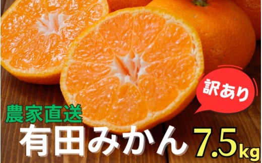 農家直送 有田 みかん 訳あり 7.5kg 光センサー 選別 / 温州みかん 有田みかん 甘い 家庭用 和歌山 柑橘 ※11月中旬〜1月中旬に順次発送 ※北海道・沖縄・離島への配送不可 【nuk004-noka-c7d5C】和