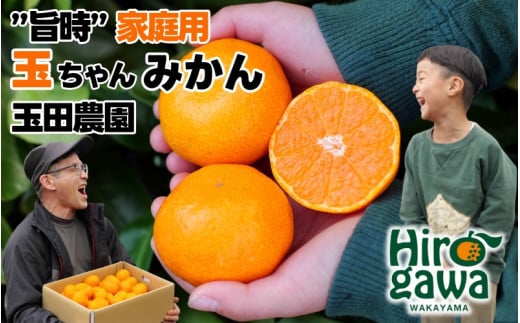 有田 みかん 旨時 体に優しい玉ちゃんみかん 10kg / 温州みかん 有田みかん 甘い 和歌山 柑橘 ※12月初旬〜2月中旬に順次発送 【tmd004-cu-10】和歌山県広川町19000果物・フルーツみかん・柑橘類