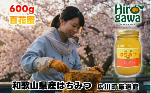 はちみつ 和歌山県産 600g 百花蜜 / 蜂蜜 和みつ 100% 朝ごはん 朝食 ヨーグルト 調味料 ハチミツ【tec603-600-hyaku】和歌山県広川町13000鍋セット・総菜・加工食品その他 鍋セット・総菜・加工食