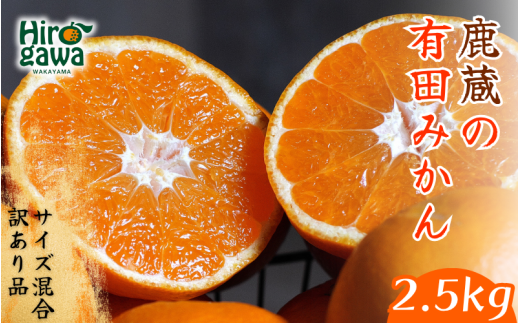 鹿蔵の 有田 みかん 訳あり 2.5kg 光センサー 選果 / 温州みかん 有田みかん 甘い 家庭用 和歌山 柑橘 ※11月順次発送予定 ※北海道・沖縄・離島への配送不可【ikd004-cm-2d5-novB】和歌山県広川町7