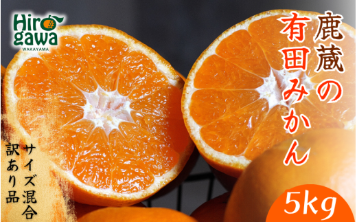 鹿蔵の 有田 みかん 訳あり 5kg 光センサー 選果 / 温州みかん 有田みかん 甘い 家庭用 和歌山 柑橘 ※11月順次発送予定 ※北海道・沖縄・離島への配送不可【ikd004-cm-5-novB】和歌山県広川町12000