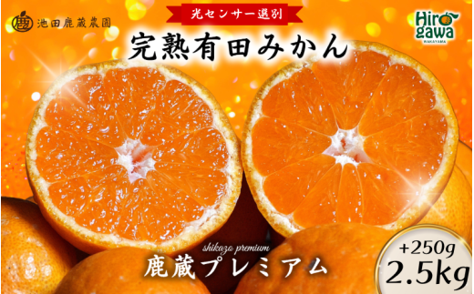  Lc ݂ v~A 2.5kg+250g(ݕ⏞) ZT[ I / B݂ Lc݂ Â  I a̎R k 11{`1{ɏ kCEEւ̔zs