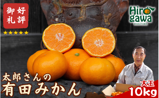 有田 みかん  大玉 10kg / 温州みかん 有田みかん 甘い  和歌山 柑橘 ※12月上旬〜1月上旬に順次発送【ymk004-10-2l】和歌山県広川町15000果物・フルーツみかん・柑橘類