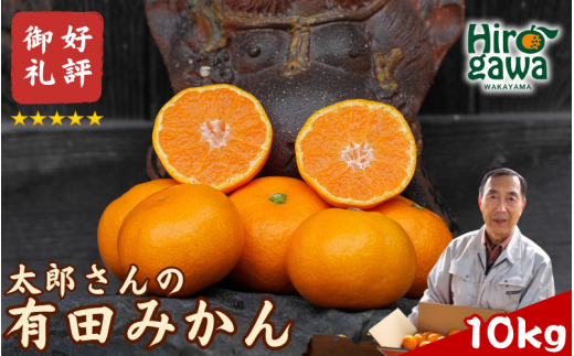 有田 みかん 10kg M・L  / 温州みかん 有田みかん 甘い 和歌山 柑橘 ※12月上旬〜1月上旬に順次発送【ymk004-10-mlA】和歌山県広川町18000果物・フルーツみかん・柑橘類