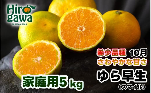 由良早生 みかん 訳あり 5kg / ゆら早生 温州みかん 極早生 甘い 家庭用 和歌山 柑橘 ※10月上旬〜11月上旬順次発送 ※北海道・沖縄・離島への配送不可 【sml003-yura-c5】和歌山県広川町11000果物