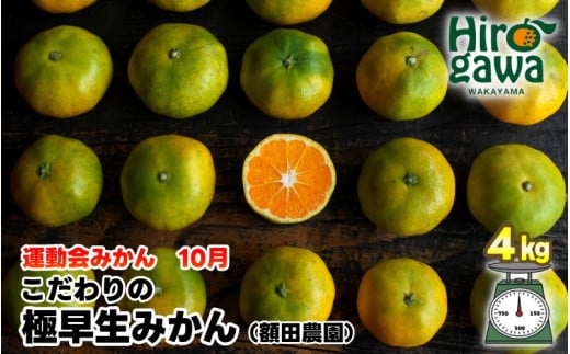 極早生 みかん 家庭用 4kg / 極早生みかん 温州みかん 甘い 家庭用 和歌山 柑橘 ※10月上旬〜11月上旬順次発送 ※北海道・沖縄・離島への配送不可 【nuk003-r-4A】和歌山県広川町9000果物・フルー