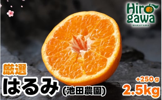 はるみ 厳選 2.5kg+250g(痛み補償分) 光センサー / デコポン 姉妹品種 甘い 高級 和歌山 有田 柑橘 ※2月上旬〜3月下旬に順次発送予定 ※北海道・沖縄・離島への配送不可【ikd013-p-2d5A】和歌山
