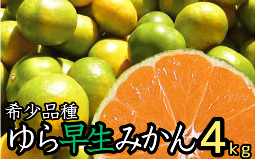 由良早生 みかん 家庭用 4kg / ゆら早生 温州みかん 極早生 甘い 家庭用 和歌山 柑橘 ※10月上旬〜10月下旬順次発送 ※北海道・沖縄・離島への配送不可 【nuk003-yura-4A】和歌山県広川町9000果物