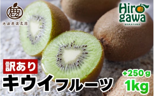 LEC ƒp 1kg+250giɂݕ⏞j / LECt[c 󂠂 a̎R  2025N11{`2026N6{ɏ kCEEւ̔zsyikd505-c-1Aza̎RL쒬6000ʕEt