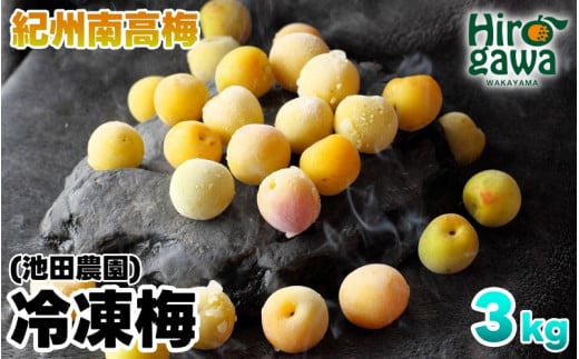 Ⓚ ~ 3kg ƒp / 썂~ 󂠂 ~ n~ ~W[X ~ a̎R 7{藂N3܂ŏ kCEEւ̔zs yikd510-c-3Bza̎RL쒬22000ʕEt