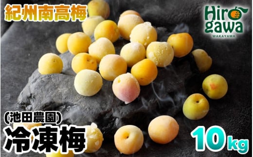 冷凍 梅 10kg 家庭用 / 南高梅 訳あり 黄梅 完熟梅 梅ジュース 梅酒 和歌山 ※7月上旬より翌年3月末まで順次発送 ※北海道・沖縄・離島への配送不可 【ikd510-c-10A】和歌山県広川町70000果物・フ