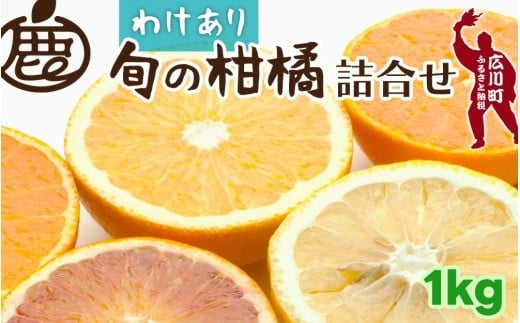 柑橘 詰合せ 1kg+250g 訳あり 光センサー / みかん 不知火 清見 八朔 伊予間 セミノール レモン 3種類以上 詰め合わせ 晩柑 ※1月上旬〜6月上旬に順次発送 ※北海道・沖縄・離島への配送不可
