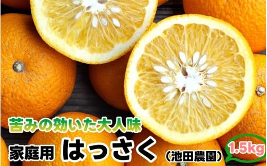 はっさく 1.5kg+250g(痛み補償分) 家庭用 光センサー / 八朔 訳あり 甘い 和歌山 有田 柑橘 ※1月上旬〜4月上旬頃に順次発送予定 ※北海道・沖縄・離島への配送不可 【ikd021-c-1d5】和歌山県広