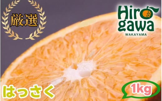 はっさく 1kg+250g(痛み補償分) 厳選 光センサー / 八朔 高級 甘い 和歌山 有田 柑橘 ※1月上旬〜4月上旬頃に順次発送予定 ※北海道・沖縄・離島への配送不可 【ikd021-p-1】和歌山県広川町5000
