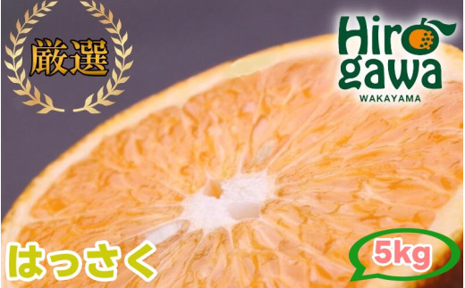 はっさく 5kg+250g(痛み補償分) 厳選 光センサー / 八朔 高級 甘い 和歌山 有田 柑橘 ※1月上旬〜4月上旬頃に順次発送予定 ※北海道・沖縄・離島への配送不可 【ikd021-p-5A】和歌山県広川町1100