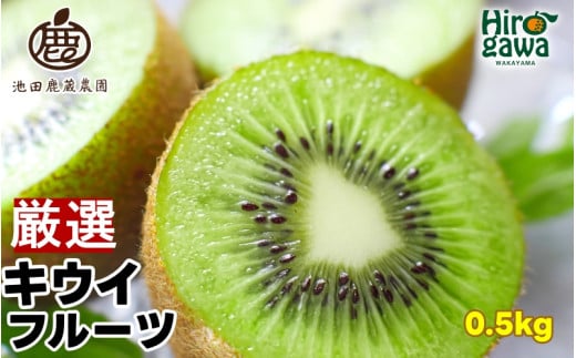 キウイ 厳選 0.5kg+250g(痛み補償分) / キウイフルーツ 高級 和歌山 ※2025年11月中旬〜2026年6月中旬に順次発送 ※北海道・沖縄・離島への配送不可【ikd505-p-0d5】和歌山県広川町5000果物・フル