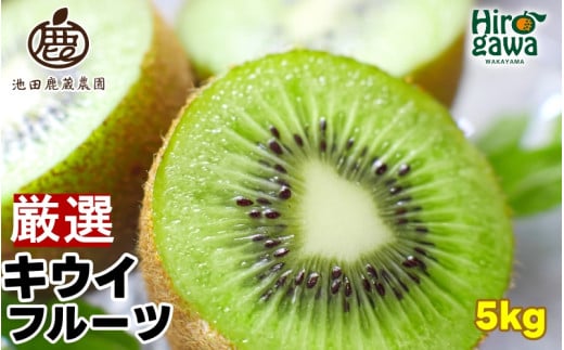 キウイ 厳選 5kg+250g(痛み補償分) / キウイフルーツ 高級 和歌山 ※2025年11月中旬〜2026年6月中旬に順次発送 ※北海道・沖縄・離島への配送不可【ikd505-p-5B】和歌山県広川町18000果物・フルー