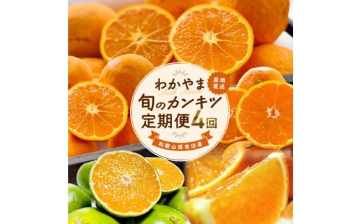 和歌山 旬のカンキツ定期便L (ご家庭用) ※北海道・沖縄・離島への配送不可 / 定期便 青切り有田みかん 完熟有田みかん 春の柑橘 初夏の柑橘 全4回 フルーツ和歌山県広川町67000果物・フルー