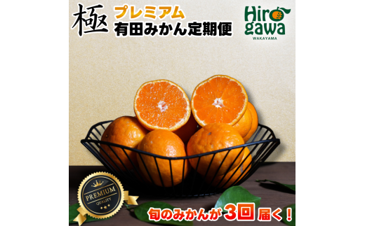 極プレミアム 有田 みかん 定期便 【5kg×3回】 / 温州みかん 有田みかん 甘い 厳選 高級 和歌山 有田 5kg ※北海道・沖縄・離島への配送不可和歌山県広川町42000果物・フルーツみかん・柑橘類