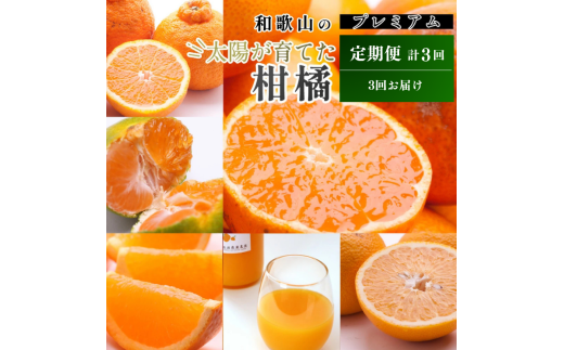 【1〜3月】柑橘 定期便 S 家庭用【全3回】【和歌山】 ※北海道・沖縄・離島への配送不可 / 定期便 フルーツ はっさく せとか 不知火 清見オレンジ カラマンダリン みかんゼリー ハウスみか