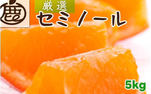セミノール オレンジ 厳選 5kg+250g(痛み補償分) 光センサー / みかん 甘い 高級 柑橘 晩柑 和歌山 有田 ※4月上旬〜6月下旬ごろに順次発送 ※北海道・沖縄・離島への配送不可 【ikd016-p-5B】