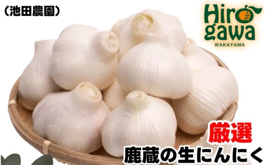 生 にんにく 1kg 厳選 / 生にんにく 国産 高級  ※5月上旬〜5月下旬に順次発送 ※北海道・沖縄・離島への配送不可【ikd403-r-1】和歌山県広川町9000野菜・きのこその他 野菜