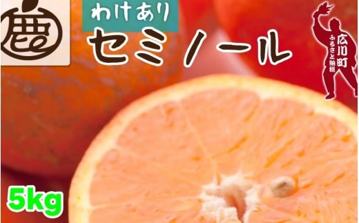 セミノール オレンジ 家庭用 5kg+250g(痛み補償分) 光センサー / みかん 甘い 訳あり 柑橘 晩柑 和歌山 有田 ※4月上旬〜6月下旬ごろに順次発送 ※北海道・沖縄・離島への配送不可 【ikd016-c-5