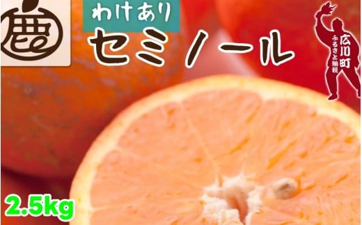 セミノール オレンジ 家庭用 2.5kg+250g(痛み補償分) 光センサー / みかん 甘い 訳あり 柑橘 晩柑 和歌山 有田 ※4月上旬〜6月下旬ごろに順次発送 ※北海道・沖縄・離島への配送不可 【ikd016-c