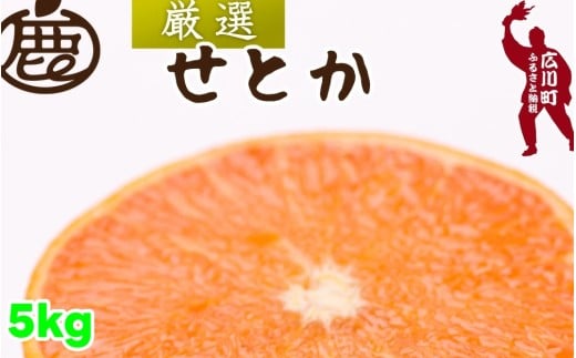 厳選 せとか 5kg+250g(痛み補償分) 光センサー / 高級 甘い 和歌山 柑橘 ※2月中旬〜3月下旬頃発送 ※北海道・沖縄・離島への配送不可 【ikd014-p-5A】和歌山県広川町27000果物・フルーツみかん