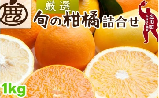 柑橘 詰合せ 1kg+250g(痛み補償分) 厳選 光センサー / 高級 みかん 不知火 清見 八朔 伊予間 セミノール レモン 3種類以上 詰め合わせ 晩柑 ※1月上旬〜6月上旬頃に順次発送 ※北海道・沖縄