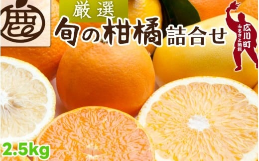 柑橘 詰合せ 2.5kg+250g(痛み補償分) 厳選 光センサー / 高級 みかん 不知火 清見 八朔 伊予間 セミノール レモン 3種類以上 詰め合わせ 晩柑 ※1月上旬〜6月上旬頃に順次発送 ※北海道・沖