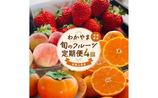 わかやま 旬の フルーツ 定期便 全4回 / 有田みかん まりひめ いちご 桃 柿 ※北海道・沖縄・離島への配送不可 【ard050-sf4A】和歌山県広川町41000果物・フルーツみかん・柑橘類